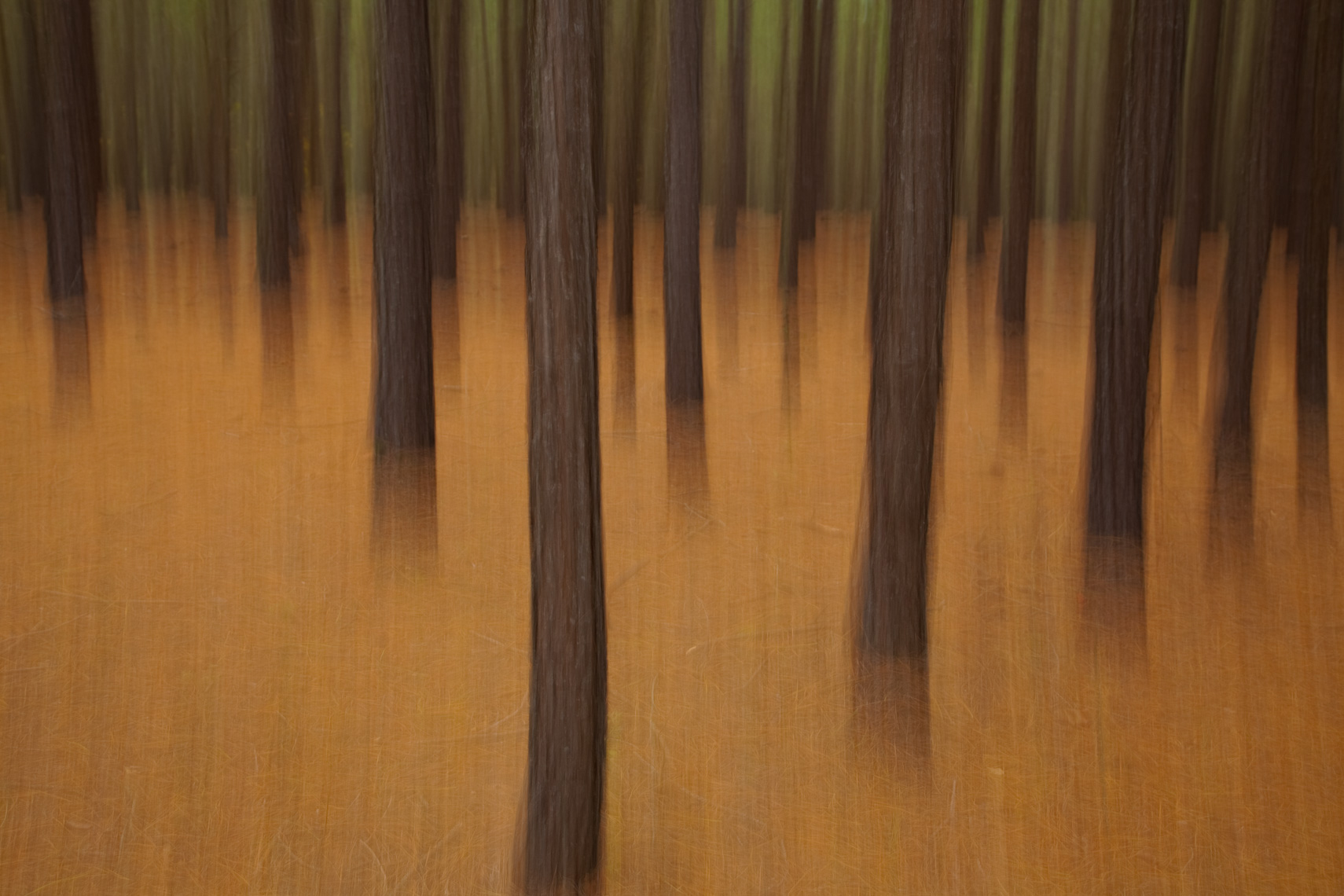 jonholloway.com-24